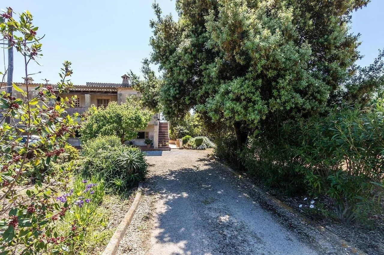 Villa Panada بويينسا